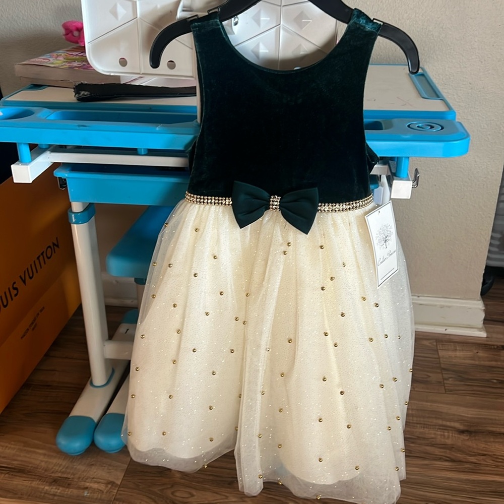 Girl’s  dress new with tags